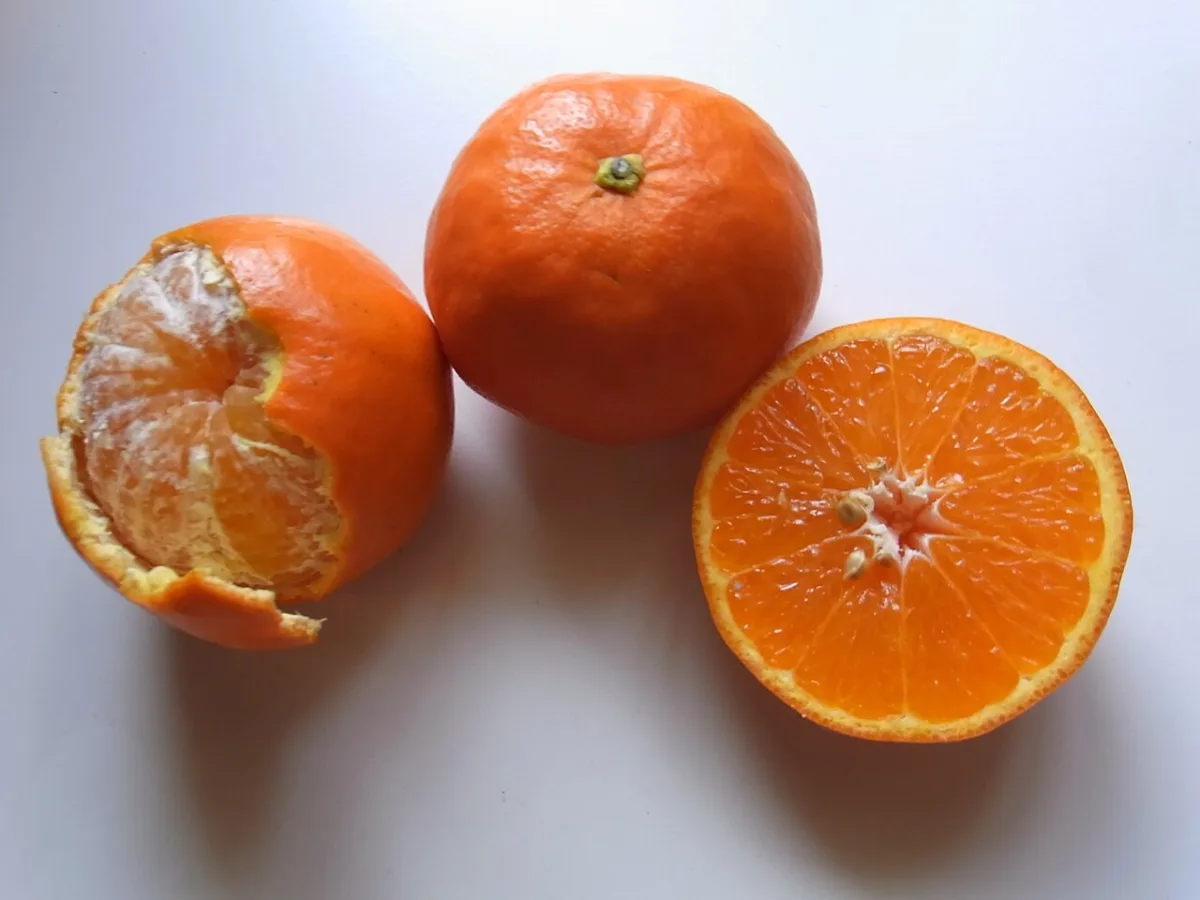 Zelf maken en serveren